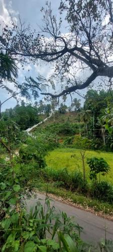 Yaya Estate - image 5