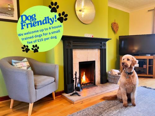 Detached 4-Bed Farmhouse Beaumaris STUNNING VIEWS! - image 9