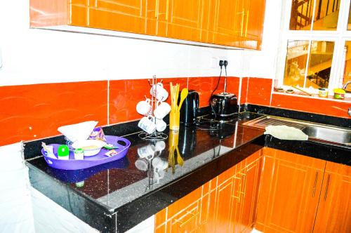 المرافق, Roma Stays - Charming 2BR Ensuite Apartment Opp Garden City Mall in إيسلي