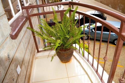 Roma Stays - Charming 2BR Ensuite Apartment Opp Garden City Mall in إيسلي