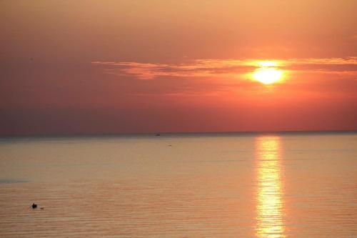 Palazzo Scavone - image 10