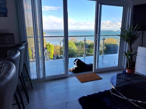 Seaview Escape in هولوكومبى