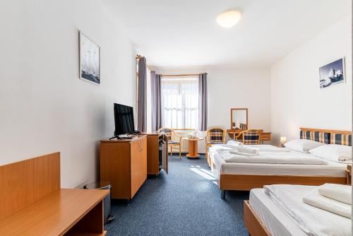 テルチョヴァ Garni Hotel Gavurky 3つ星 ホテル スイート