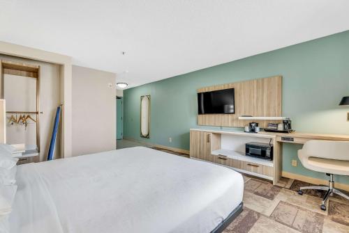Queen Room with Mobility/Hearing Access and Roll-In Shower, Non-Smoking