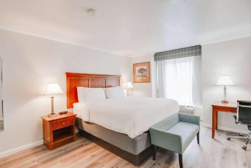 King Room with Jetted Tub - Non-Smoking