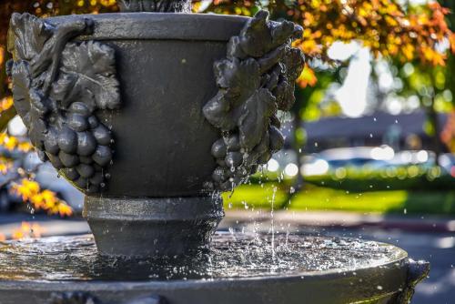 Best Western Sonoma Valley Inn & Krug Event Center - image 10
