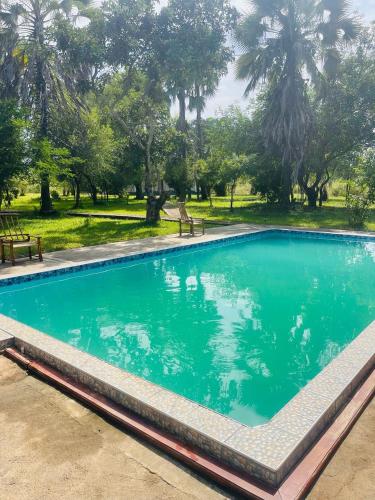 Úszómedence, Royal South Luangwa Safaris Lodge in Kakumbi
