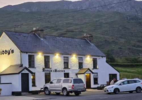 Barnesmore Cottage in 鄧格洛