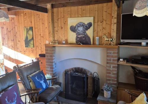 Barnesmore Cottage in 鄧格洛