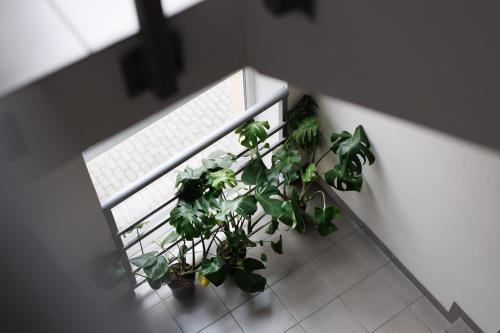 Hotel Dolynskiy - image 11