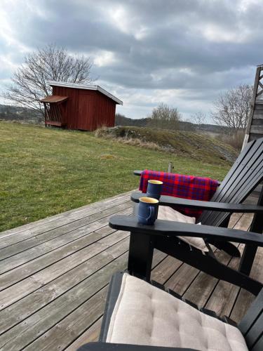 Vinberga in Stjärna