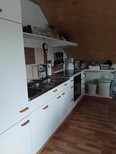 廚房, Ferienwohnung Monteurwohnung Pusteblume in 杜德施塔特