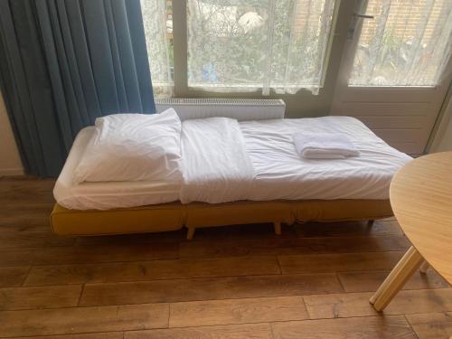 charming studio in Amsterdam-Noord, Amsterdam (foto 10)