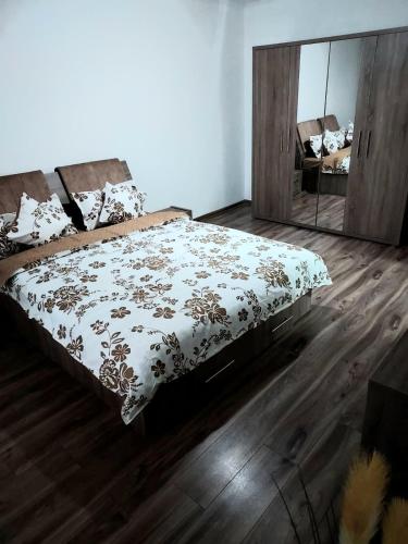 Studio Ștefan, Călimăneşti (foto 5)