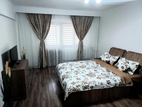 Studio Ștefan, Călimăneşti (foto 4)