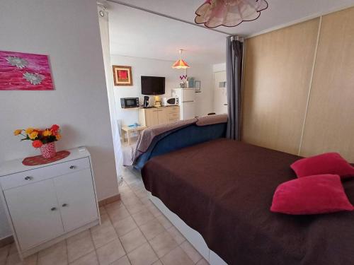 Appartement Balaruc-les-Bains 1 pièce 2 personnes - FR-1-571-33 - image 6