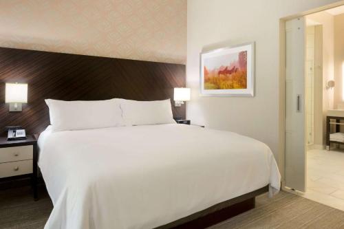 King Studio Suite image 4