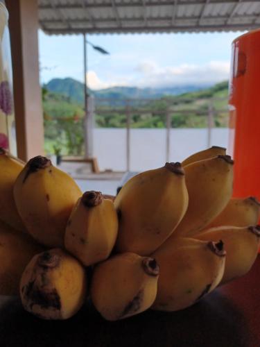 Vista, Omahkayu in Puncak