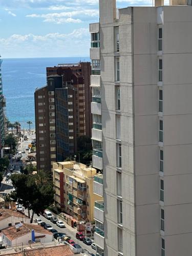 Don Gregorio - Fincas Benidorm - image 5