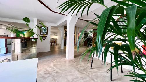 Coliving Ajaccio 4