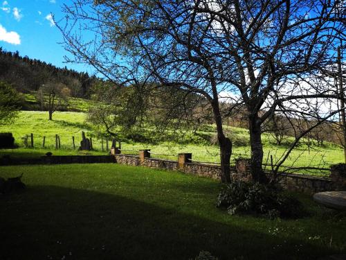Finca Artienza - image 4