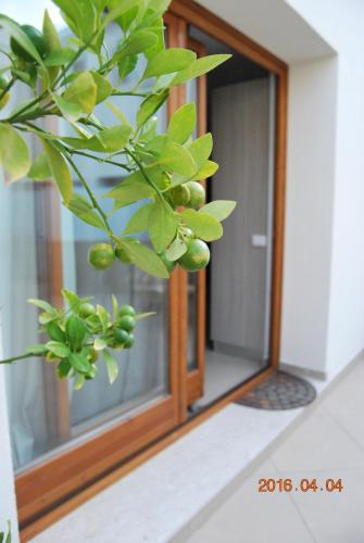 Photo - Residence Rapisardi by RECEPTIO