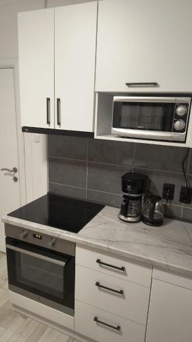 Apartment Gradina in 克雷尼薩