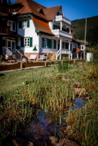 Waldquelle Vital Ferienwohnung in Eberbach