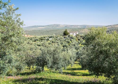 Agroturismo Ecologico el Cortijillo