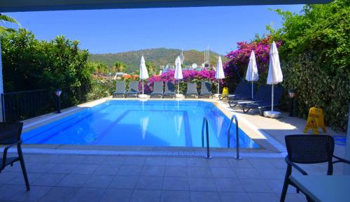 Double Room with Pool View image 3