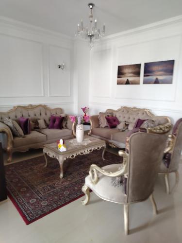 Elegant Apartment Elegant Apartment