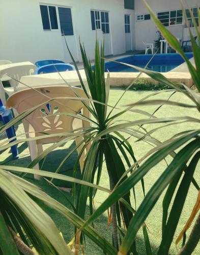 La PUNTA ZICATELA PXM La PUNTA ZICATELA PXM