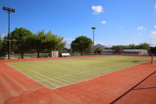 Asteras Paradise - image 7