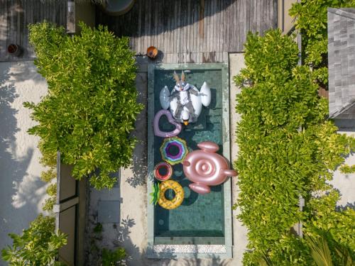 Beach Infinity Pool Villa - Enjoy 50% seaplane discount for 2 pax (Book Stay period: 10 July - 30 Sep 2025) image 1