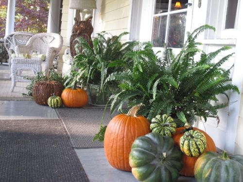 Hilltop House Bed & Breakfast