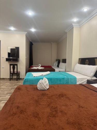 Magic pyramids Eden Magic pyramids Eden