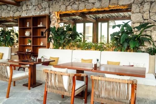 Restaurant, Terra Solis Dubai in Dubailand