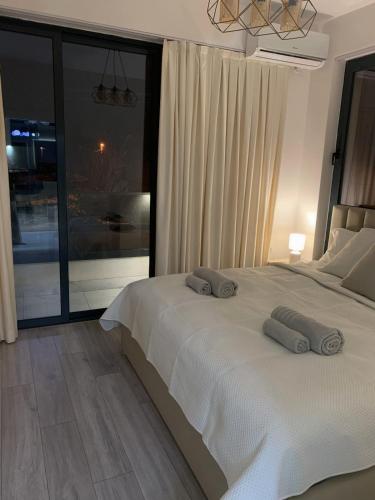 Vila Leon private, Tirana (Foto 6)