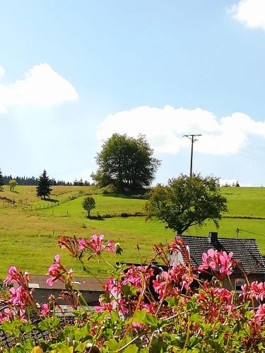 Am Lindenbaum, Ferienwohnung in Siebenbach am Nürburgring (Am Lindenbaum, Ferienwohnung in Siebenbach am Nurburgring) in ซีเบนแบช