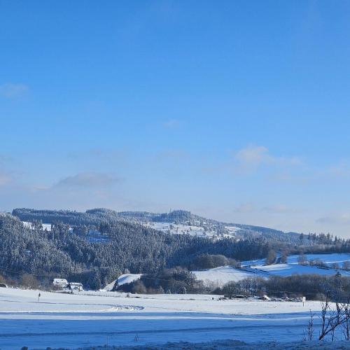 Am Lindenbaum, Ferienwohnung in Siebenbach am Nürburgring Am Lindenbaum, Ferienwohnung in Siebenbach am Nürburgring