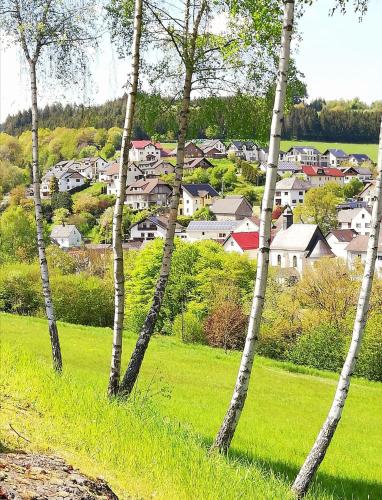 Am Lindenbaum, Ferienwohnung in Siebenbach am Nürburgring Am Lindenbaum, Ferienwohnung in Siebenbach am Nürburgring