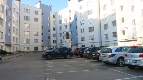 Cat Garden Premium Apartments Riga, Riga (fotografie 7)