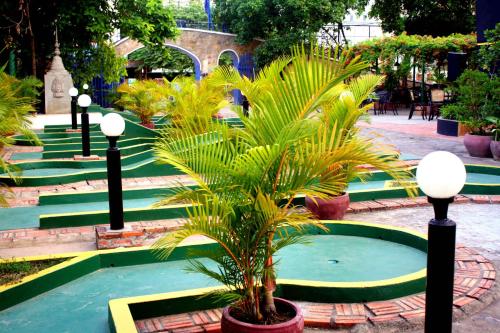 The Magic Sponge – Kampot, NJ