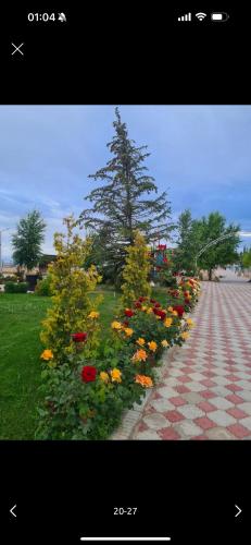 Кв пансионат Париж, Chok-Tal (fotografie 6)