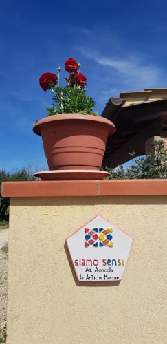 Casa Le Antiche Macine Bilocale immerso fra gli ulivi