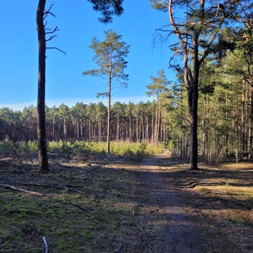 Ruheoase Waldblick in Baruth (Brandenburg)