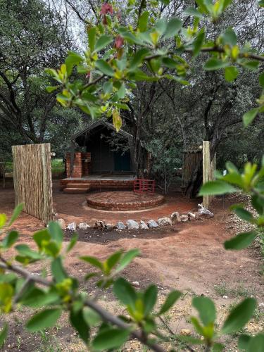 Omgeving, Olienhoff Guesthouse and Rest Camp in Otavi