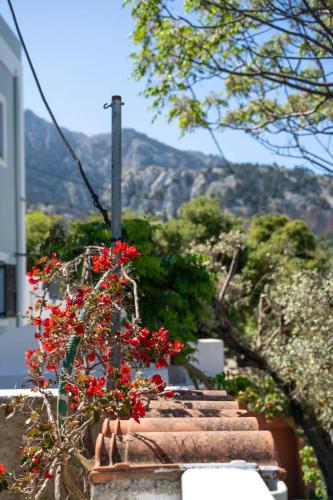 Infinity III - Tranquil Studio Retreat in Kos, Lagoúdi Zía (photo 11)