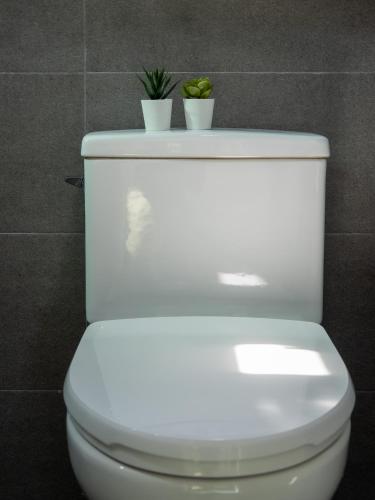 스테이 포즈 서울 Stay Pause- Serene Loft Retreat in Seoul