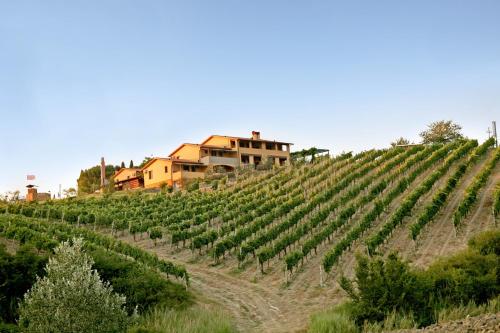 Apartment in Montespertoli 